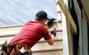 Affordable Siding Repair and Maintenance Services in Newark, IL